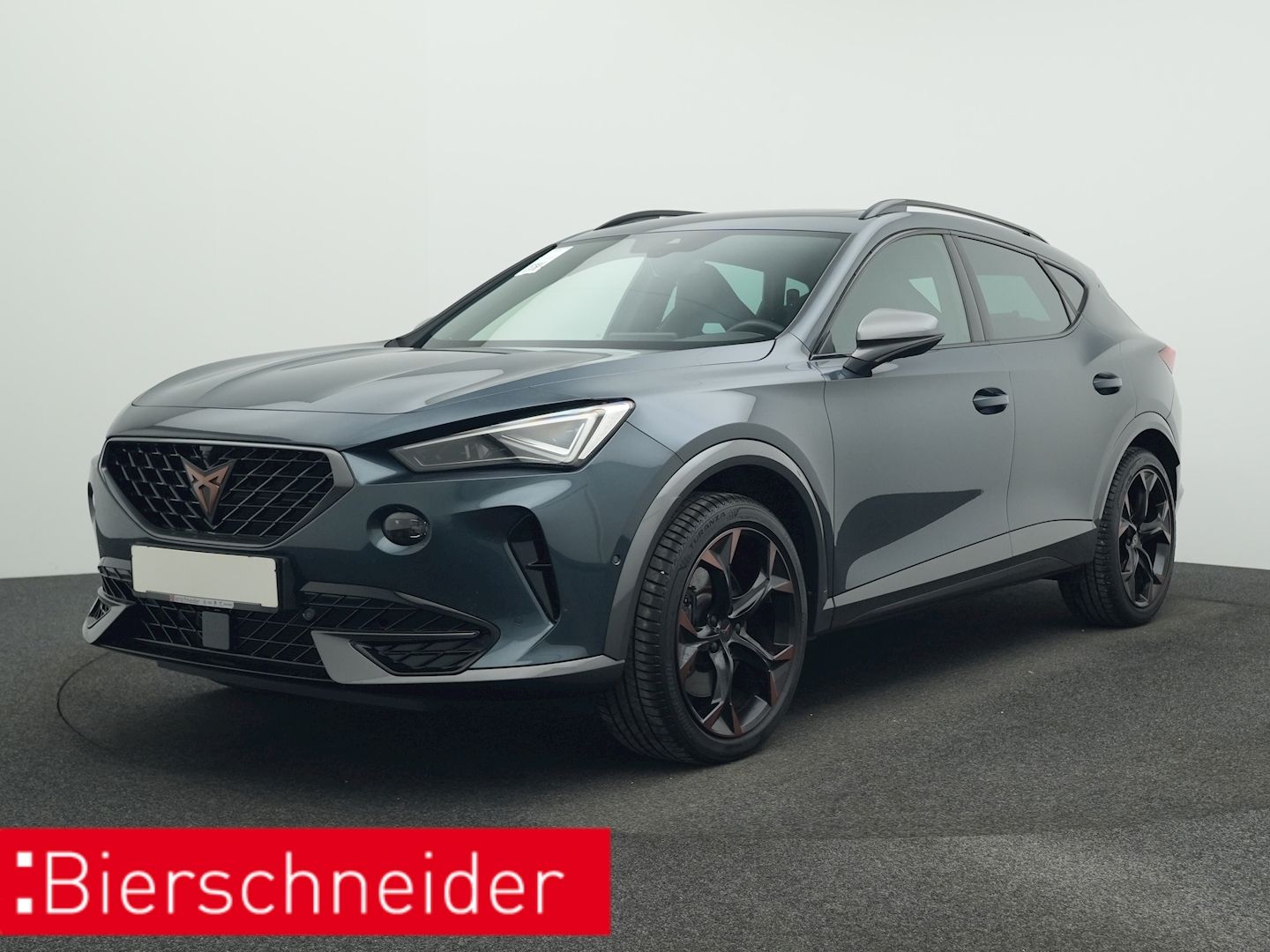 Cupra Formentor 2.0 TSI DSG 4Dr. VZ PANO KAMERA BEATS 