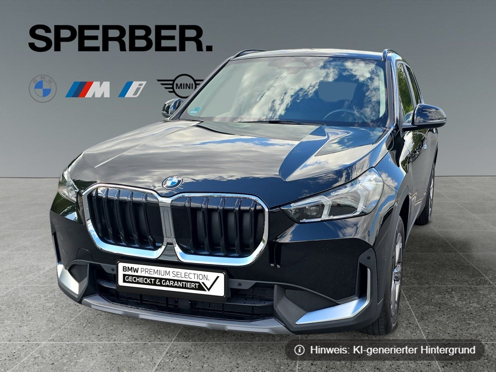 BMW X1 - 1