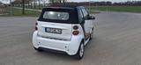 Smart ForTwo cabrio 1.0 62kW edition citybeam edit... - Smart ForTwo Edition mit Benzin-Antrieb