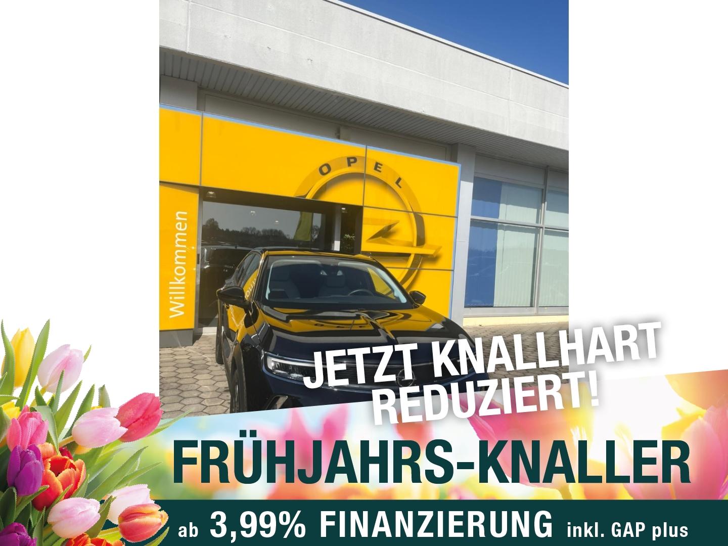 Opel Mokka e Elegance, DAB, Einparkhilfe, Rückfahrkam
