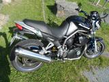 Yamaha Bulldog BT 1100 Belgarda - YAMAHA BT 1100 BULLDOG