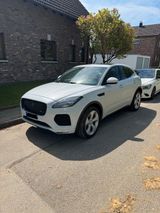 Jaguar E-Pace P250 R-DYNAMIC SE AWD R-DYNAMIC  - Jaguar in Köln