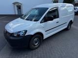 Volkswagen Caddy Maxi Kasten- guter Zustand- 2.Hand - Volkswagen Caddy: Kombi, Maxi