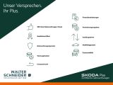 Skoda Citigo 1.0 Clever SHZ PDC - Skoda Citigo aus 2018