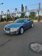 Jaguar XJ Auto - Jaguar XJ aus 2013