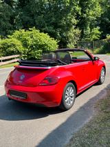 Volkswagen Beetle 1.2 TSI BMT Design Cabriolet Design - Volkswagen Beetle: Rot, Cabrio