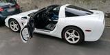 Andere Corvette C5 Targa Glasdach - Andere: Coupé, Glas
