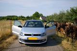 Volkswagen Polo 1.4 TSI ACT BlueGT BlueGT - Volkswagen Polo: Bluegt