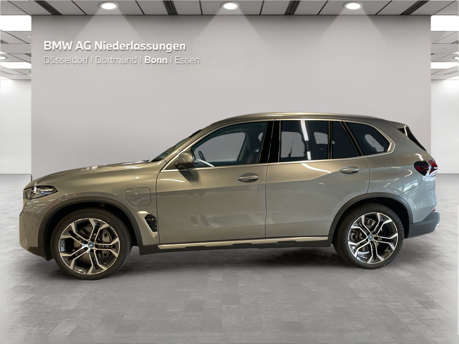 BMW X5 xDrive50e Massage Driv.Assist.Prof Harman K foto 3