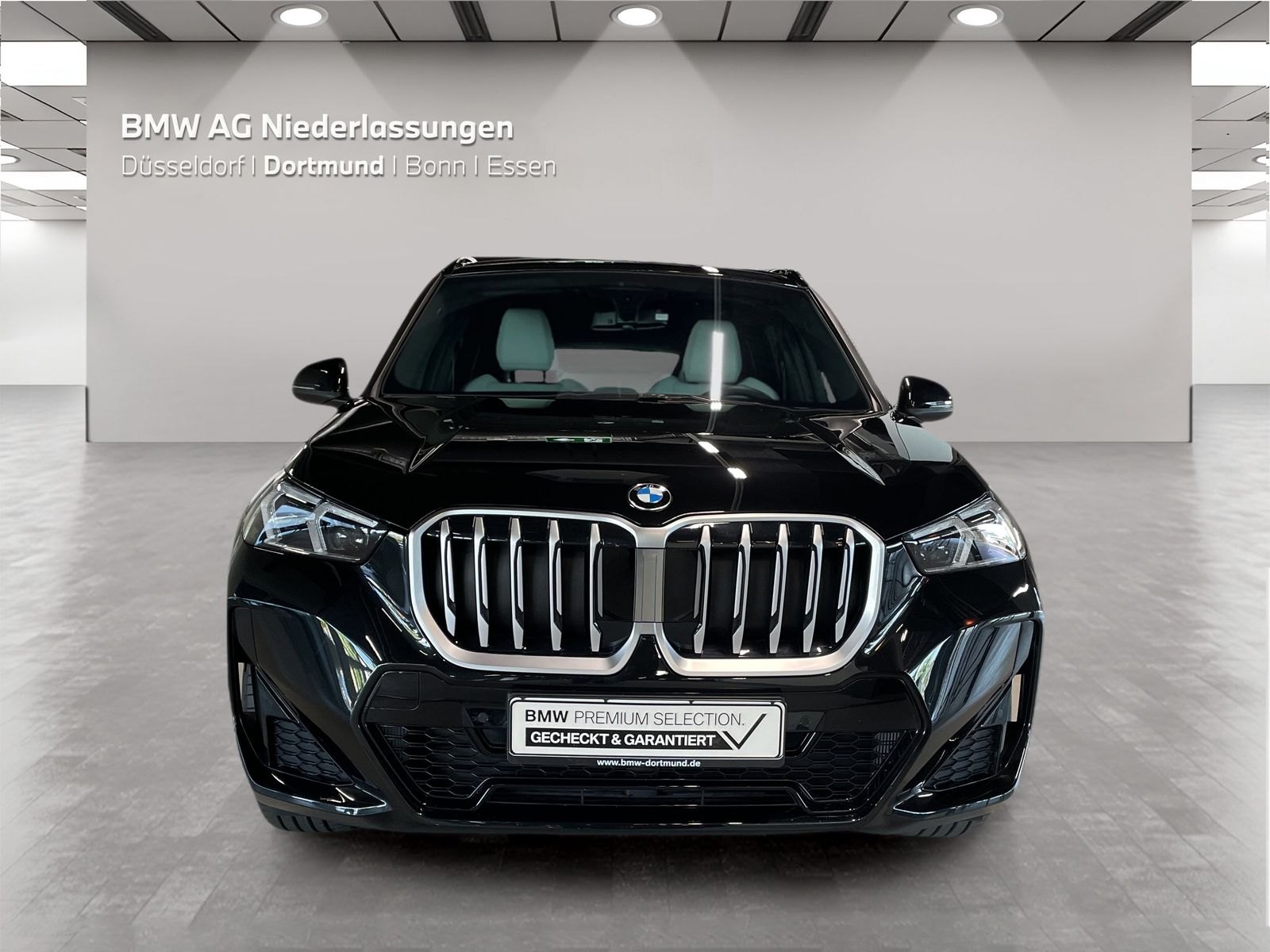 BMW X1 - Bild 8