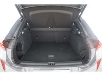Cupra Terramar - Vorschau Bild 12