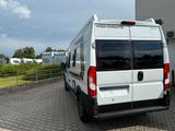 Weinsberg CaraBus 600 MQ Automatik, Aufstelldach - Angebote