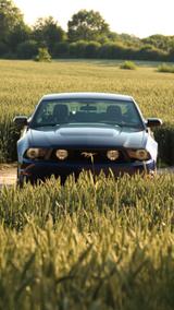 Ford Mustang - gebrauchte Ford Mustang aus dem Jahr 2011