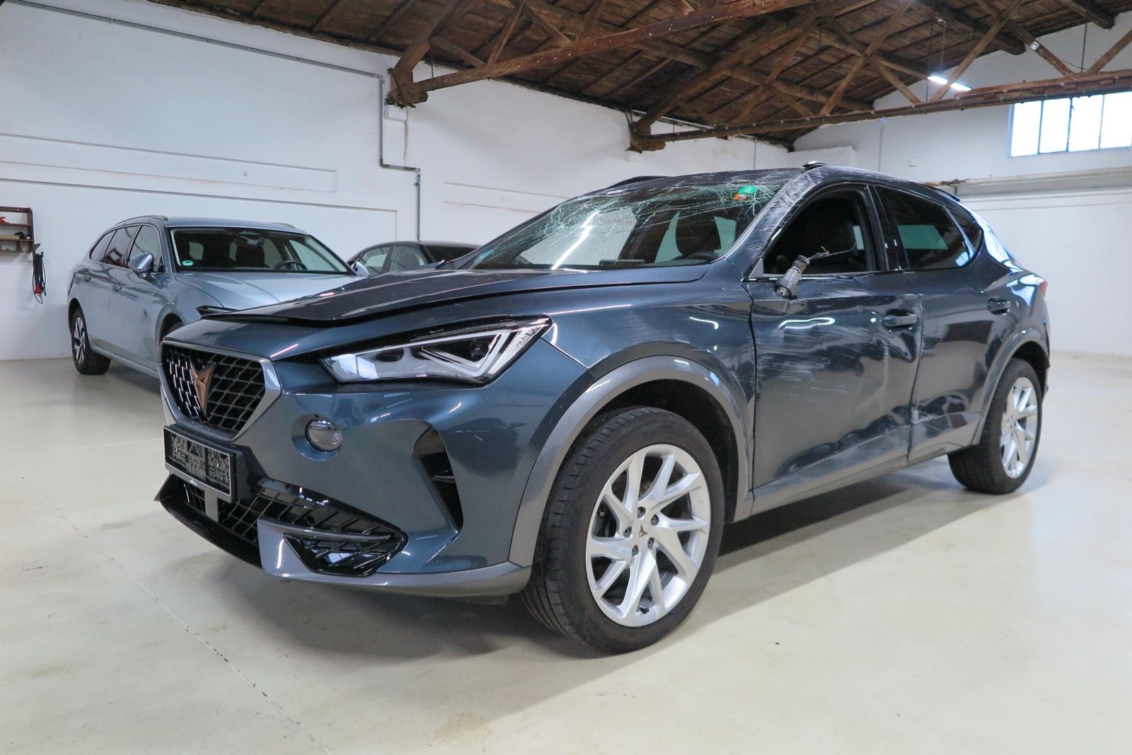 Cupra Formentor 2.0 TDI 4Drive Leder Kamera Navi