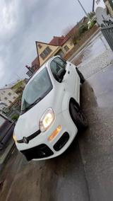 Fiat New Panda 1.2 8V EASY EASY - weiße Fiat New Panda