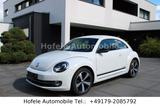 Volkswagen New Beetle - Volkswagen New Beetle mit Benzin-Antrieb: Limousine