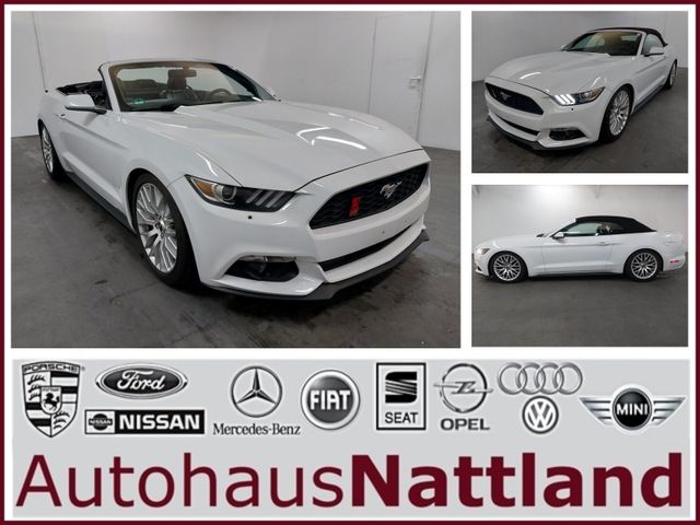 Ford Mustang Basis Convertible