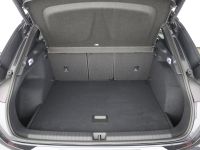 Cupra Terramar - Vorschau Bild 38