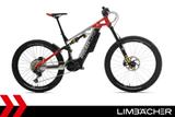 Ducati TK-01RR EBIKE LIMBÄCHER - DUCATI TK 01RR
