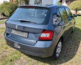 Skoda Fabia 1.2l TSI 66kW Cool Edition Green tec - Skoda Fabia: 1.6