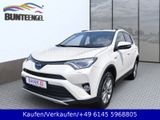 Toyota RAV 4 2,5-I-Hybrid Team Deutschland Kamera - Toyota mit Hybrid-Antrieb