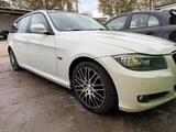 BMW 3er BMW e91 Touring - BMW: E91
