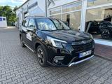 Subaru Platinum 2.0ie Hybrid - Subaru Forester in Essen
