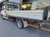 Iveco IVECO Daily 35C13 2.8 TDI Cassone RIBALTABILE TR - Iveco aus 2004