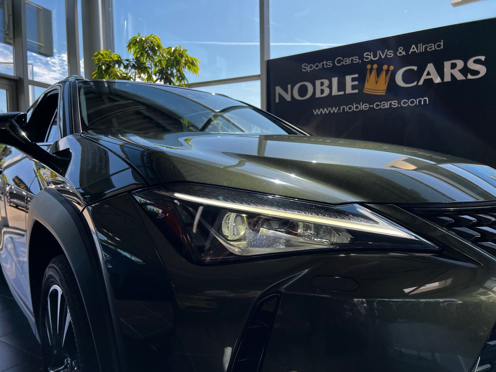 Fahrzeugabbildung Lexus UX 250 h Style Edition AHK RFK Full Link LED