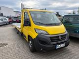 Fiat Ducato Maxi Pritsche/Kipper 35 160 L4 Pritsche R - Angebote