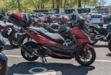 Honda Forza 125  - Offers