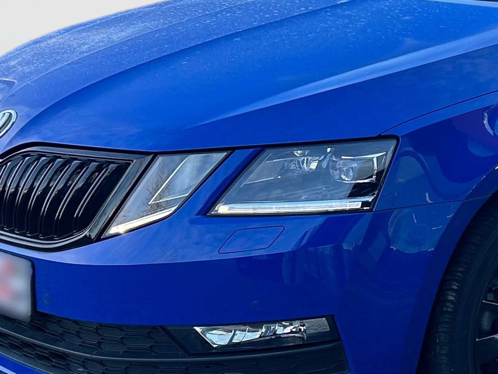 Fahrzeugabbildung SKODA Octavia Combi 1.0 TSI Sport Edition