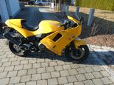 Triumph Daytona 900 - TRIUMPH DAYTONA 900