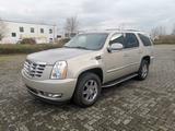 Cadillac Escalade 6.2 V8 LPG SH AHK VIELES NEU - Cadillac Escalade: 6.2