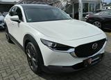 Mazda CX-30 Selection 2WD - Mazda CX-3 in Bielefeld