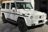 Mercedes-Benz G 300 Turbodiesel OM606