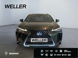 Lexus UX 250h Style Edition *Bi-LED*ACC*CAM*SHZ*CarPla - Lexus Gebrauchtwagen