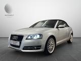 Audi A3 Cabriolet S line  /XEN/18ZOLL/ALCANTARA/NAVI/ - Audi A3: 18