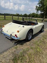 Austin Healey Andere - Austin Healey aus 1966
