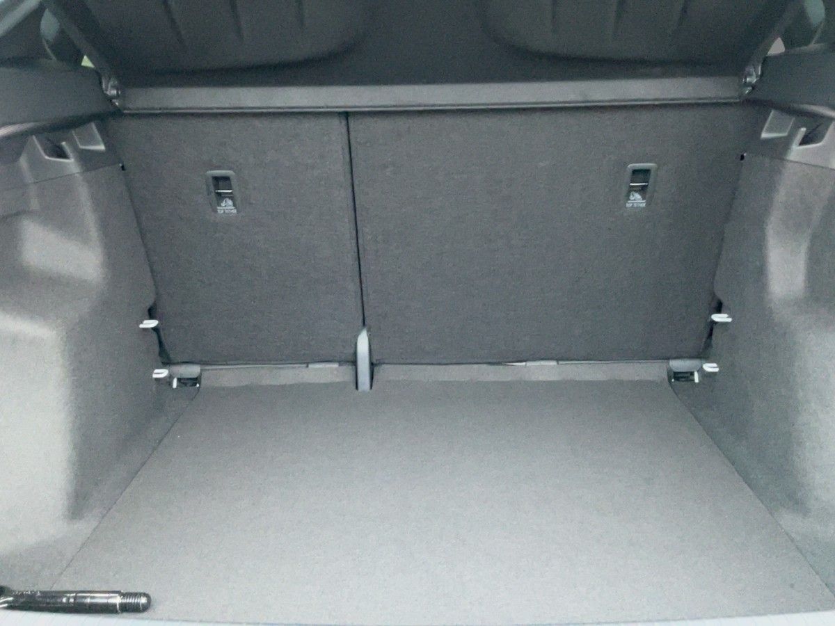 Cupra Tavascan - Bild 13