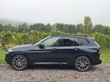 BMW X3 xDrive30d Klima Kamera AHK Mwst.ausweisbar - BMW X3 Hybrid (Diesel/Elektro)
