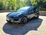 Tesla Model Y Performance Dual AWD - Tesla Model Y: Performance