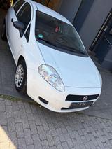 Fiat  Punto 3 Türer Weiß  Guter Zustand
