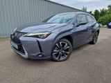 Lexus UX 250h Luxury Line ESD WKR HUD El. Panodach Nav - Lexus UX: Automatik