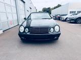 Mercedes-Benz CLK 320 Bose MAE Cabrio  AMG 18 ab 199 Euro - gebrauchte Mercedes-Benz CLK-Klasse aus dem Jahr 1998