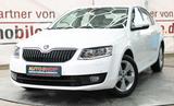Skoda Octavia Elegance*Navi*Xenon*Leder*Spurhalteass.* - gebrauchte Skoda Octavia aus dem Jahr 2013