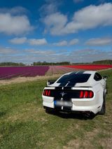 Ford mustang 2.3 /LPG /2018 - Ford Mustang mit LPG-Antrieb