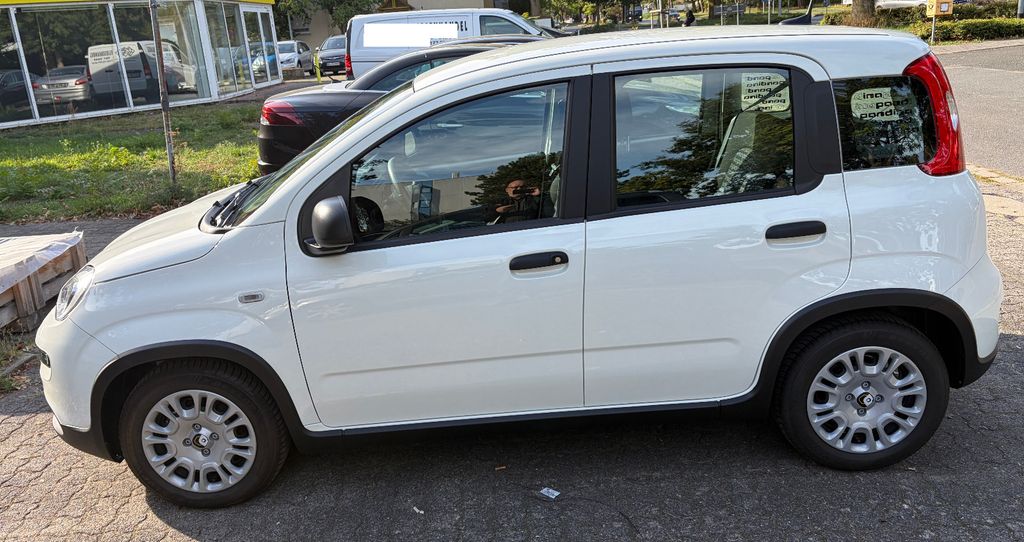 Image of Fiat Panda