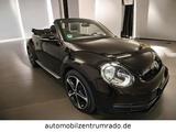 Volkswagen Beetle Cabriolet BMT 18"Alu DAB+ NAVI AC/AA - mit Benzin-Antrieb: Cabrio, mit Klimaanlage