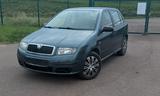 Skoda Fabia 6Y - 1.2 - Skoda Fabia 6Y mit Benzin-Antrieb
